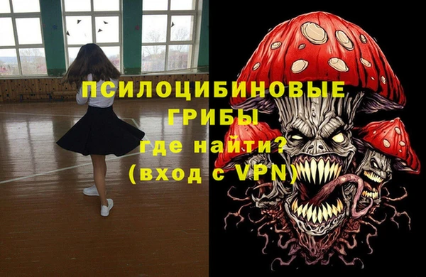 ECSTASY Каменка