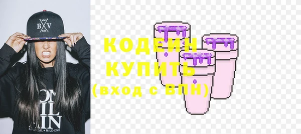 МДПВ Каменногорск