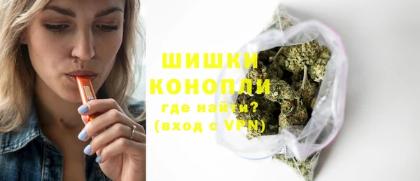 МДПВ Каменногорск