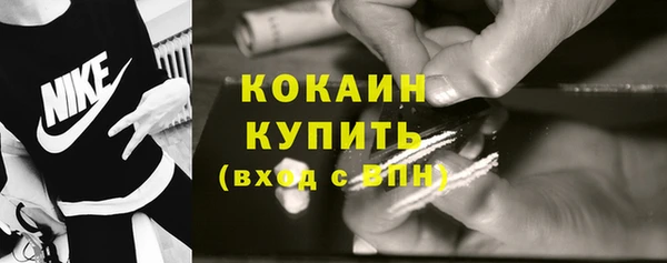 МДПВ Каменногорск
