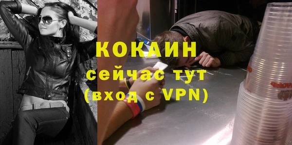 ECSTASY Каменка