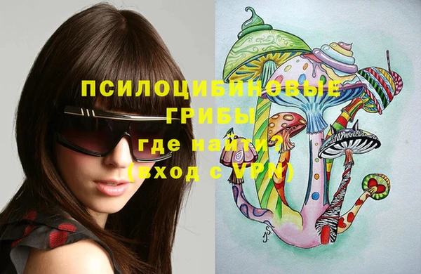 МДПВ Каменногорск