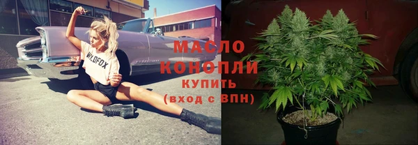 МДПВ Каменногорск