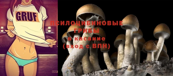 бошки Иннополис