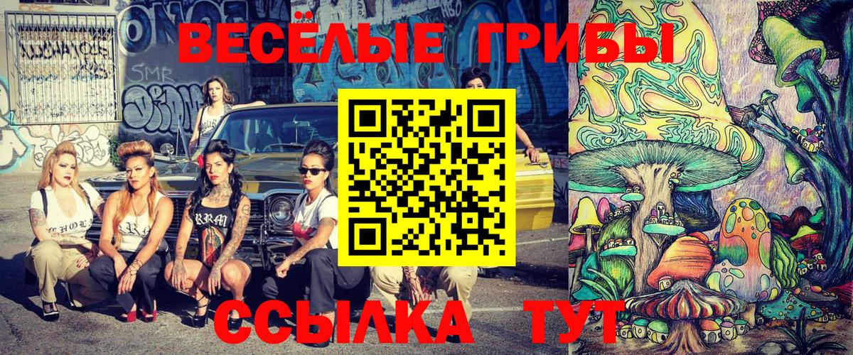 Радужный  Псилоцибиновые грибы Psilocybe  Вход с VPN 